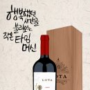 로타(LOTA) 조선일보
