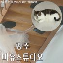가금신발 | 광주 웨딩촬영 컨셉다양한 미유스튜디오 추가금없는 드레스 추천