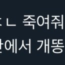 토론으로 지구 한 바퀴 이미지
