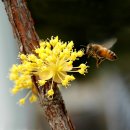 대덕연구단지체육공원 이미지