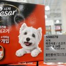 현대애견사료 이미지