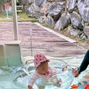 도이도이 하우스 이미지