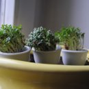 평동밧데리 이미지