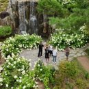 초록정원 이미지