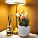 초록민박 이미지