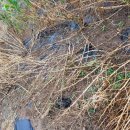 승모농장 이미지