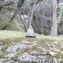 화림사 삼층석탑 | 영동영국사 천년 은행나무의 신비로운 봄