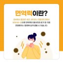 고려인삼쎈타 이미지