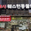 웨스턴 동물의료센터 이미지