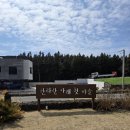 제주 한라산 아래 첫마을, 메밀에 진심인 곳