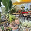 산골하루스테이 이미지