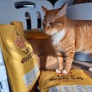 동해소재(주) 이미지