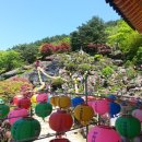 서암여자 이미지