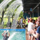 대둔산둘레길민박 이미지