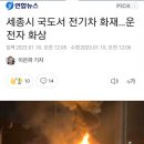 세종 테슬라 화재, 구출한 펨붕이 이미지