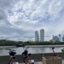 MOSCOW | 러시아 여행 모스크바 무료 스포츠 축제 즐기기 ⚽️🏀🏓🎾🏐 Moscow2030, 루즈니키 스타디움 방문 후기