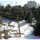 금송조경원 이미지