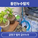 금정급수