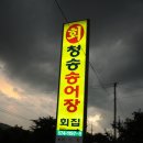 청송.주왕산.철갑상어 이미지