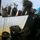 재인식당 이미지