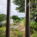 가마솥밀양돼지국밥 이미지