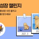 핏펫