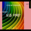 멍편한세상 이미지