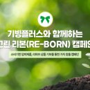 그린에프엔씨 이미지