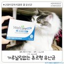 웰케어 동물세상 펫샾 | 겸용 겔 유산균) 예민한 입맛,예민한 장 강아지장영양제 츄르 형식의 데일리 겔 유산균 웰케어 데일리