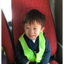 하정농장 Daum카페