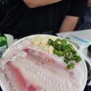 대구회 이미지