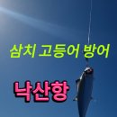 전하낚시 이미지