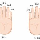 다섯손가락 이미지