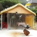 물빛펜션 이미지