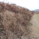 사목1리 이미지