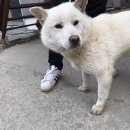 대부황금로 이미지