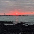 아기자기 반려 동물 옷 만들기 | [제주_한림] 제주 서쪽 반려동물 동반 가능 오션뷰 감성 숙소 “협재현스테이” 내 돈 내산 솔직 후기