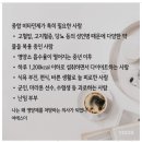 과학한다영