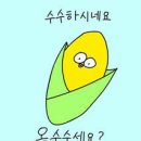 양꼬치&칭따오 이미지