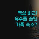 타히티호텔 | 리조트 3곳 | 가족여행 숙소 완벽 비교 | 타히티 서린 그랜드뷰 | 유수풀 가성비 선택 꿀팁 | 실제 투숙...