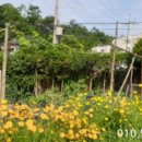 동산동-15 이미지