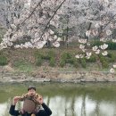 서부간선길3R | 인천 벚꽃 명소 추천 서부간선수로 벚꽃길 다녀온 후기