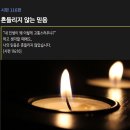 [시편 116편] 흔들리지 않음 이미지