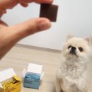 레오메디 이미지