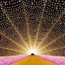 별빛정원B 이미지