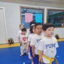 경희대 박사 태권도장 | 시합에서의 승패보다 중요한 태도 - 부천 중동 경희대 박사 현대 태권도장