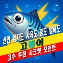 점암식당 | 전남 신안 임자도 사옥도 증도 압해도 고등어 도보 워킹 루어 원투 서프 낚시 잘잡히는 포인트 추천