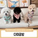 다미공방 이미지