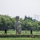 밀밭 이미지
