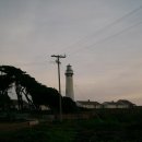 pigeon point lighthouse 아름다운 등대... 이미지